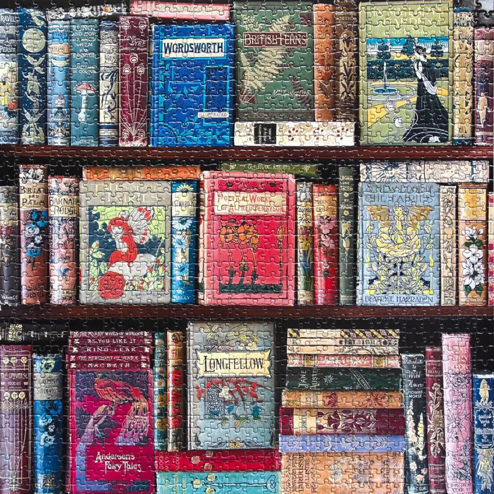 eeBoo 1000 Piece Puzzle Vintage Library