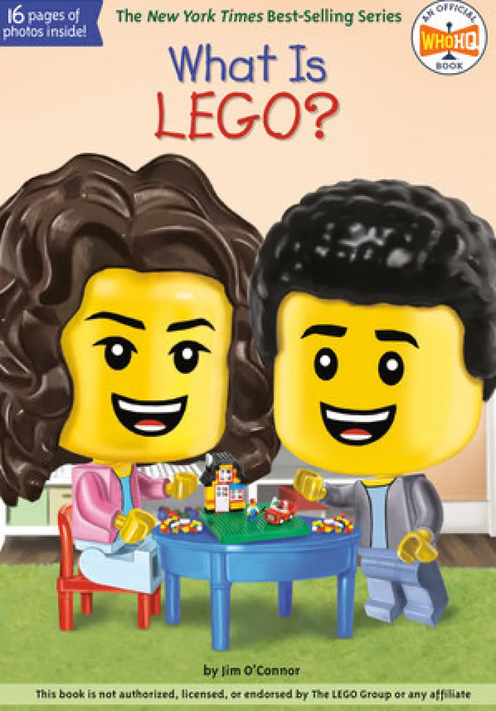 What is LEGO?