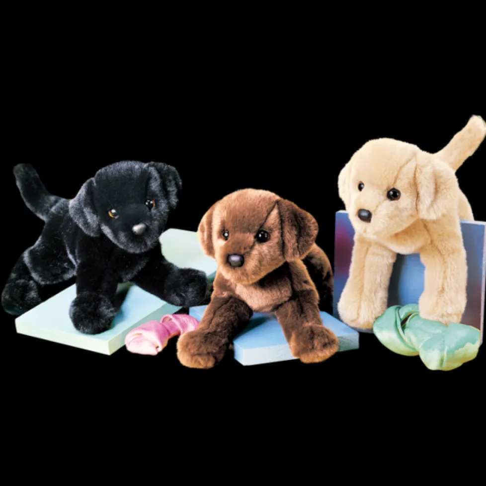 Douglas Spankie Yellow Lab 12