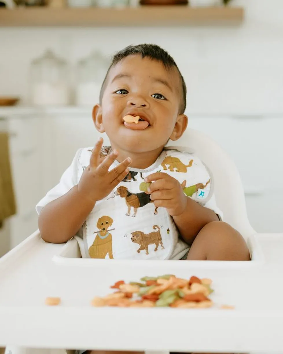 Little Unicorn Cotton Muslin Classic Bib Woof