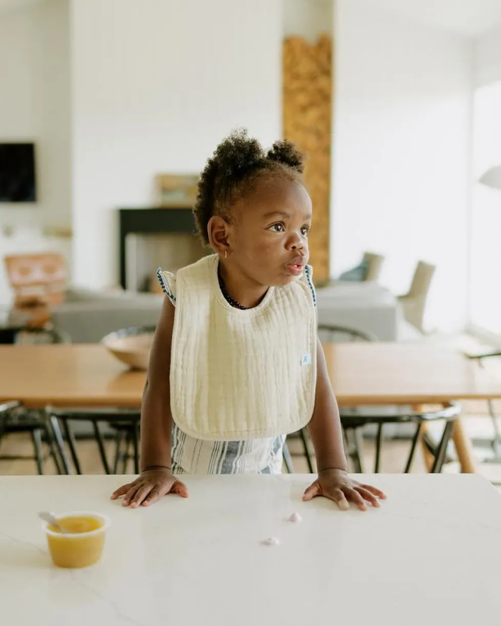 Little Unicorn Cotton Muslin Classic Bib Woof