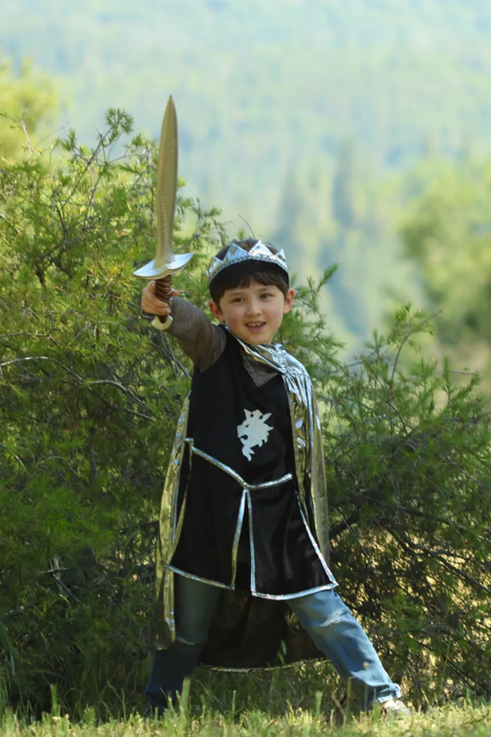 Great Pretenders Silver Knight Set with Tunic, Cape & Crown size 5/6