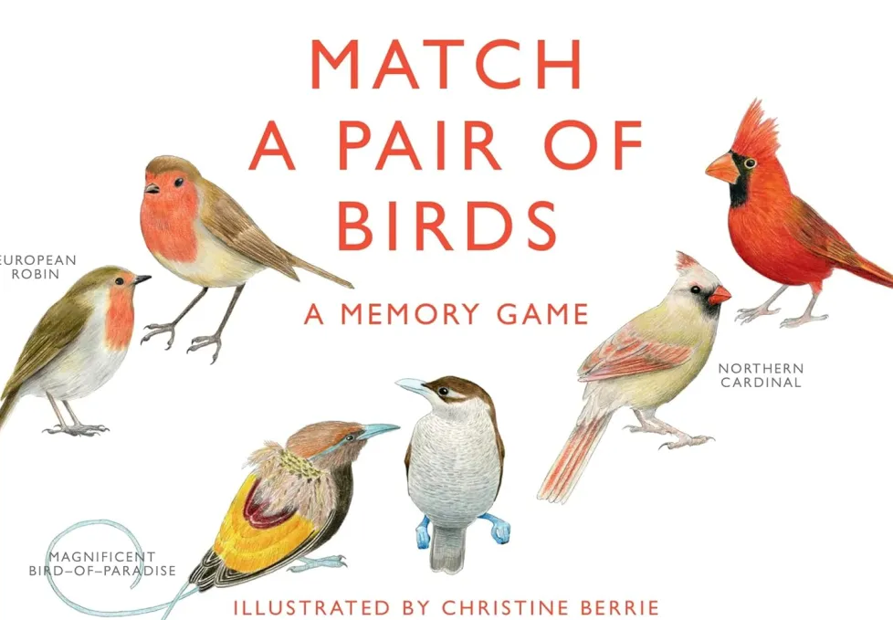 A Memory Game: Match a Pair of Birds