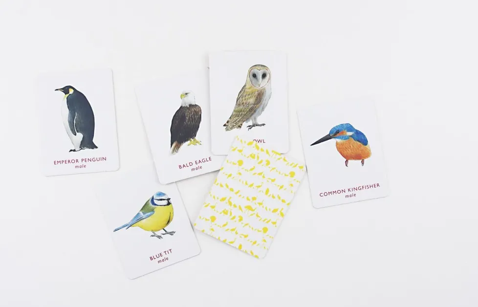 A Memory Game: Match a Pair of Birds