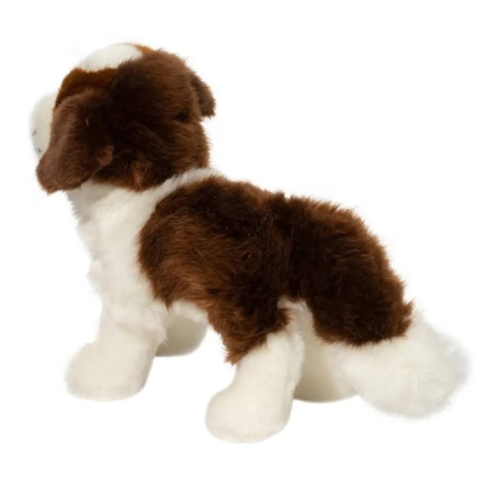 Douglas Brutus St. Bernard 9