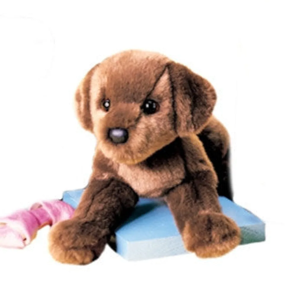 Douglas C.C. Bean Chocolate Lab 12"