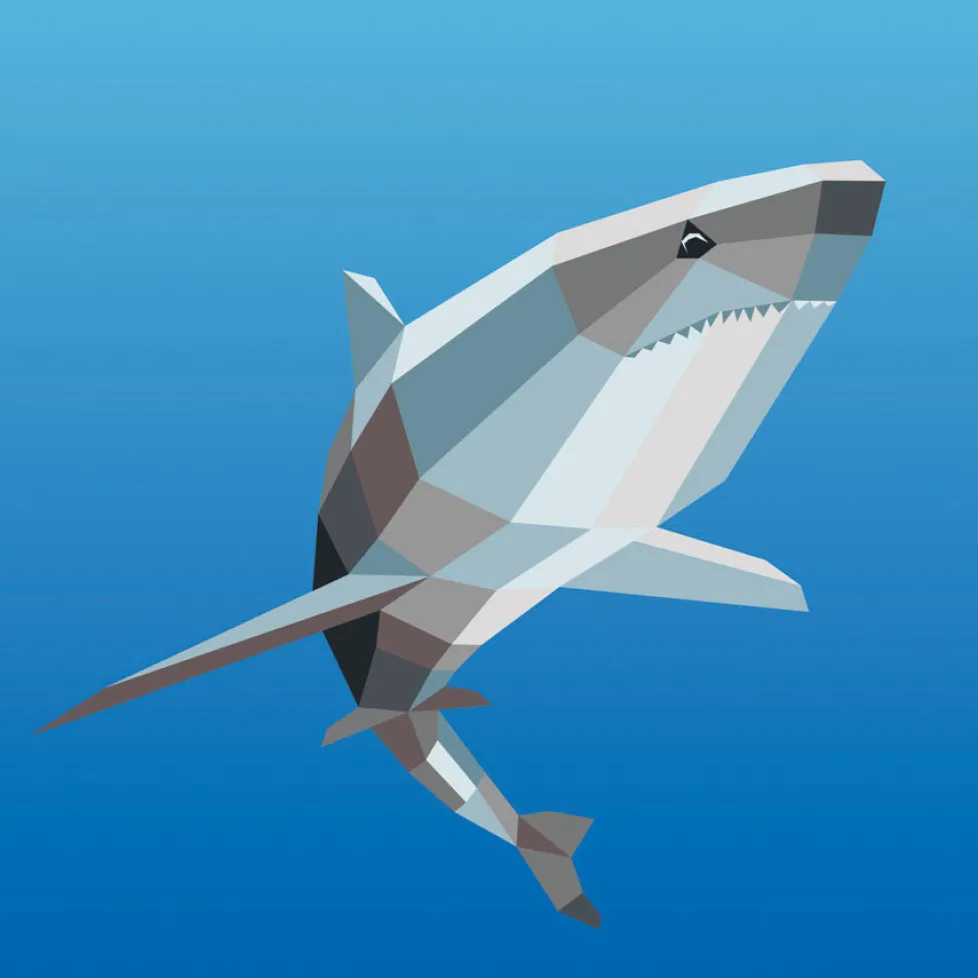 Paint By Sticker Kids