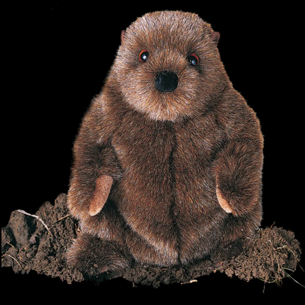 Douglas Chuckwood Groundhog 11"