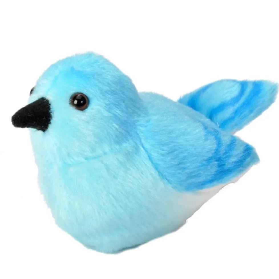 Audubon Mountain Bluebird