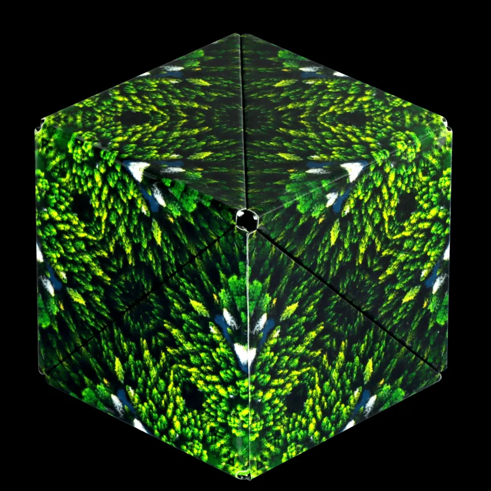 Shashibo Animal Series: Forest