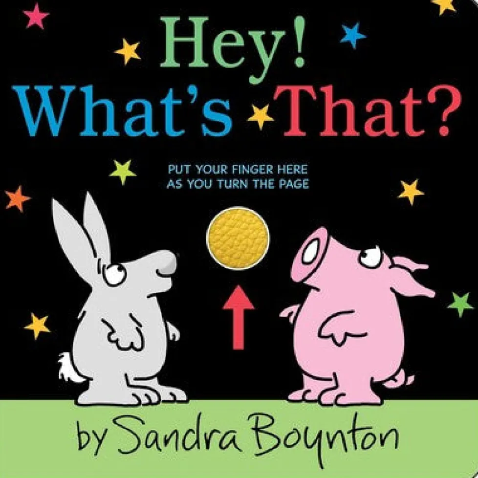 Sandra Boynton: Hey! What's That?