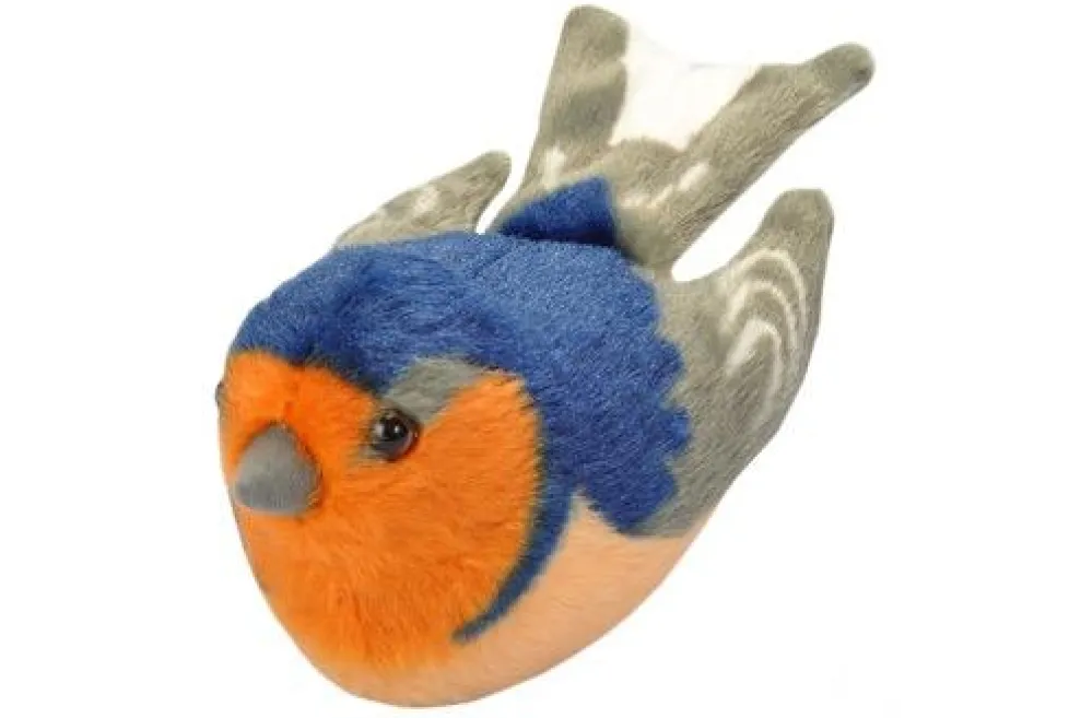 Audubon Barn Swallow