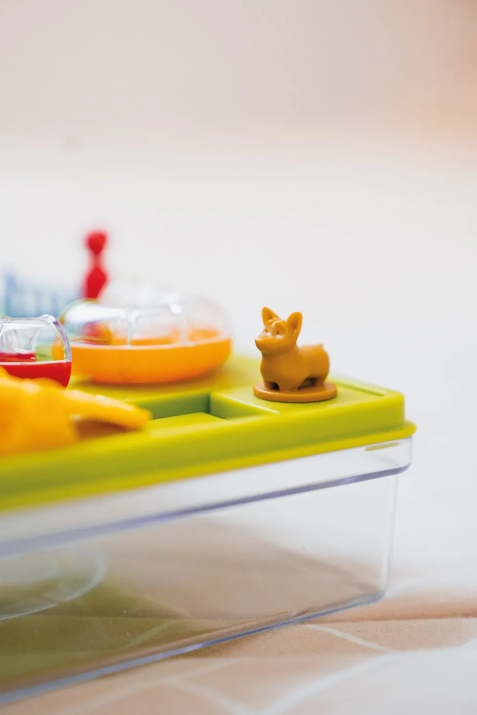 Smart Games Smart Dog