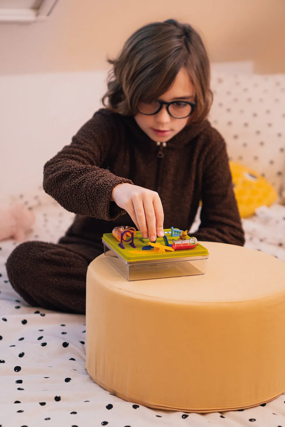 Smart Games Smart Dog