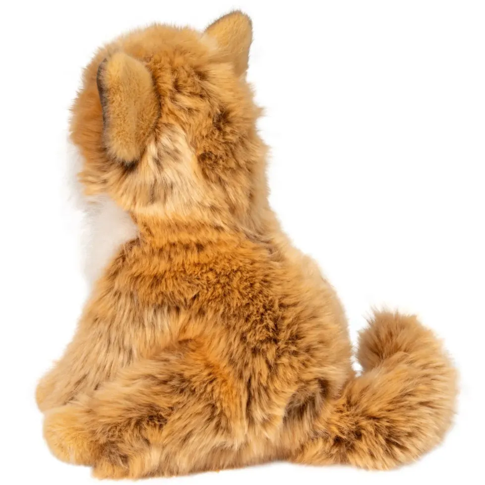 Douglas Dove Pomsky 9