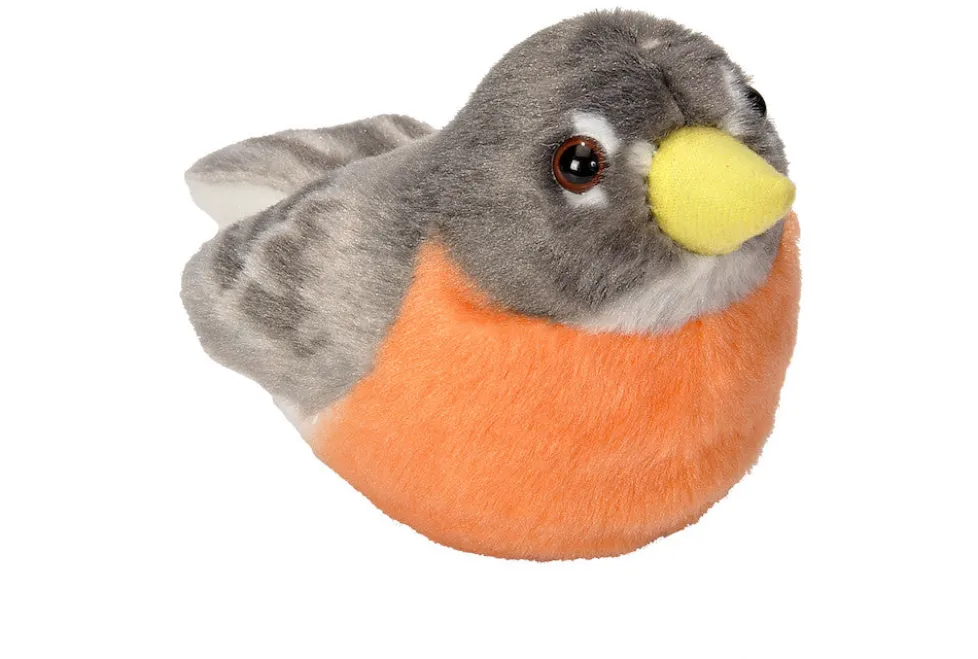 Audubon American Robin