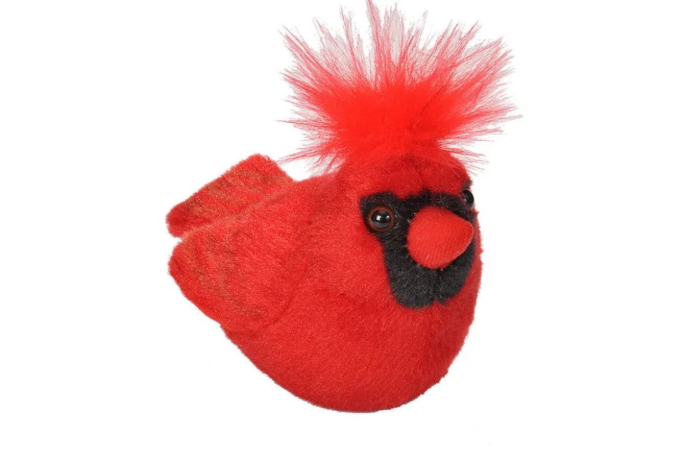 Audubon Northern Cardinal