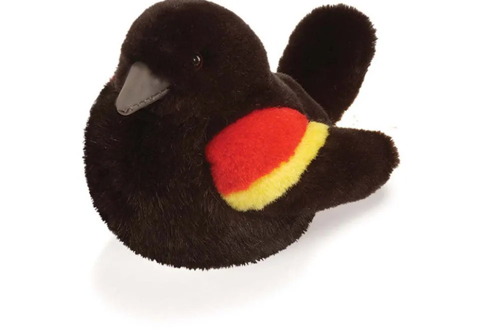 Audubon Red-Winged Blackbird