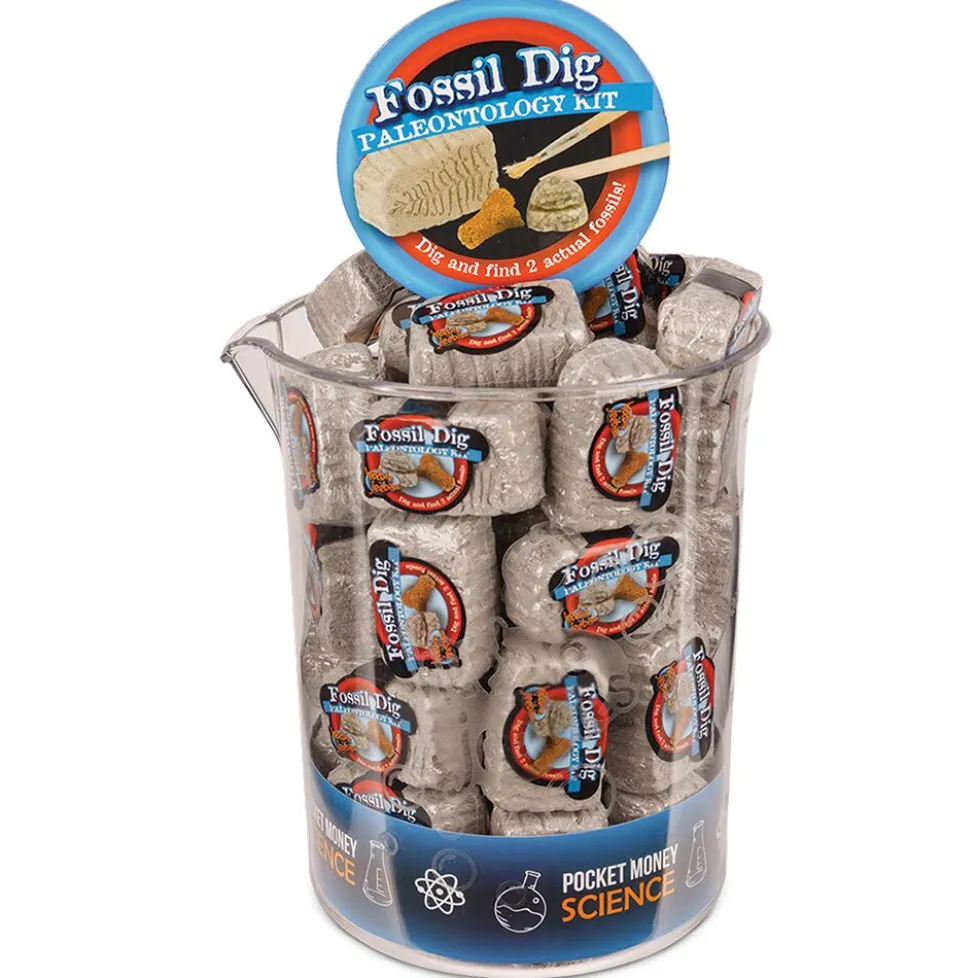 Heebie Jeebies Fossil Dig